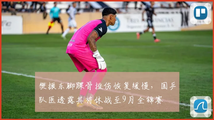 樊振东脚踝骨挫伤恢复缓慢，国乒队医透露其将休战至9月全锦赛